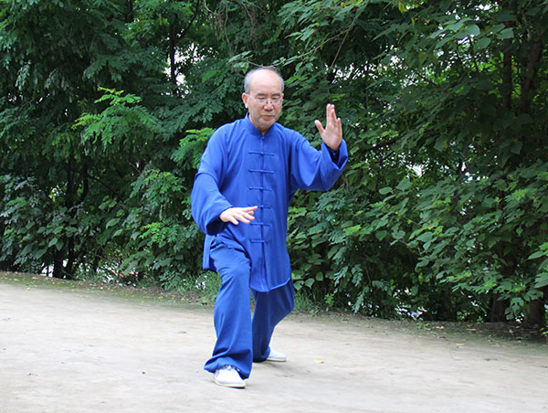 拳照
