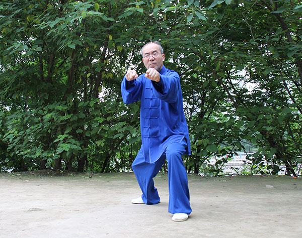 拳照