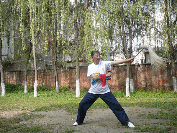 拳照