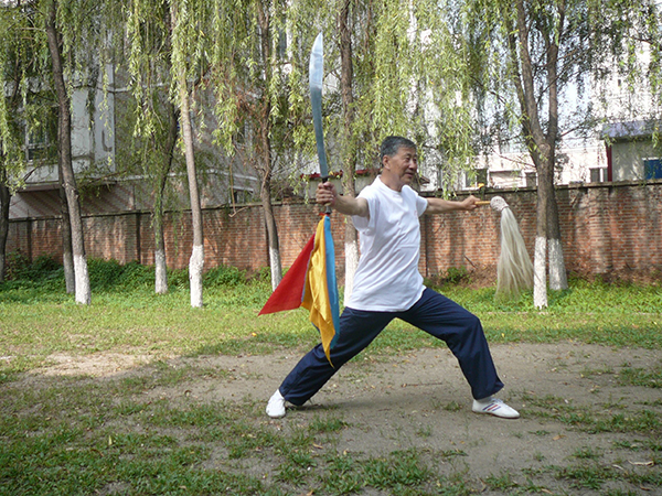 拳照