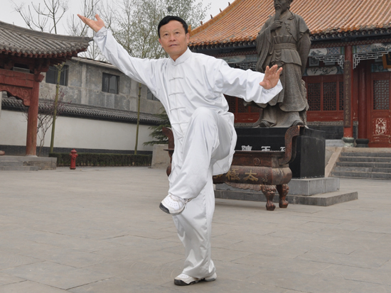 拳照