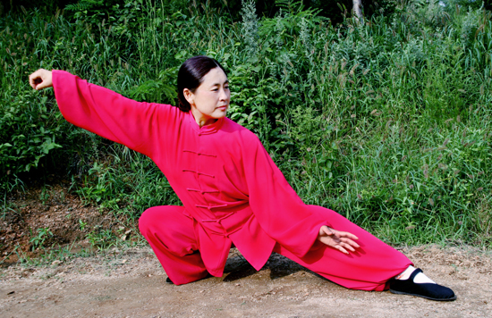 拳照