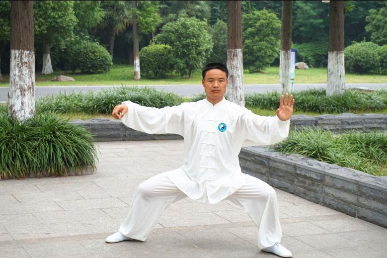 拳照