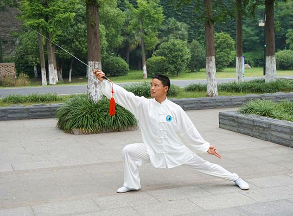 拳照