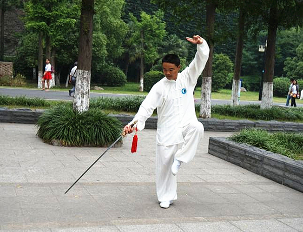 拳照