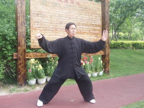 拳照