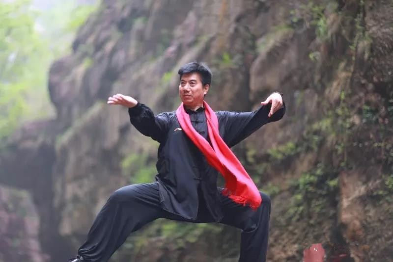 拳照