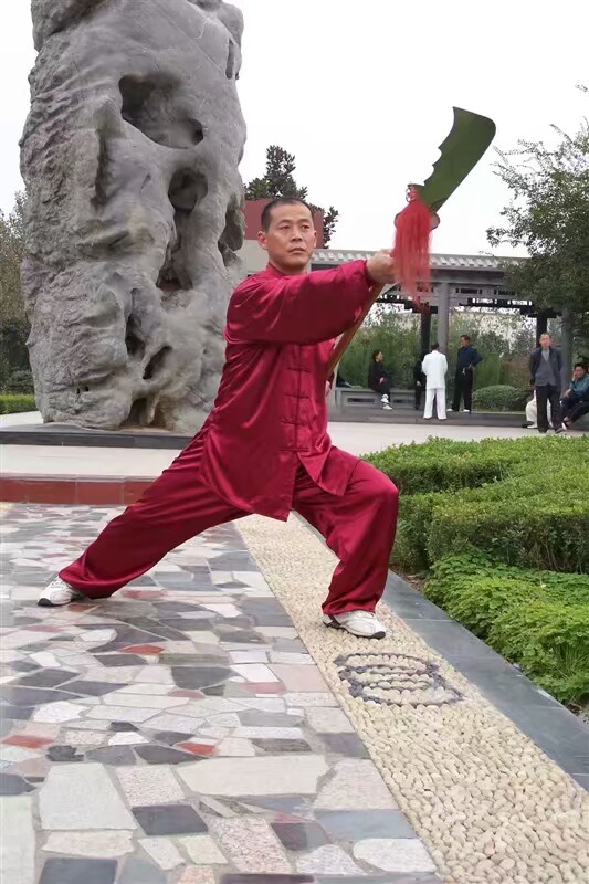 拳照