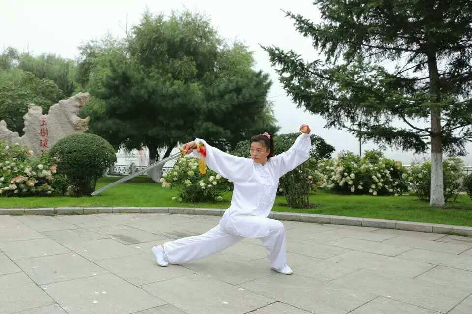 拳照4