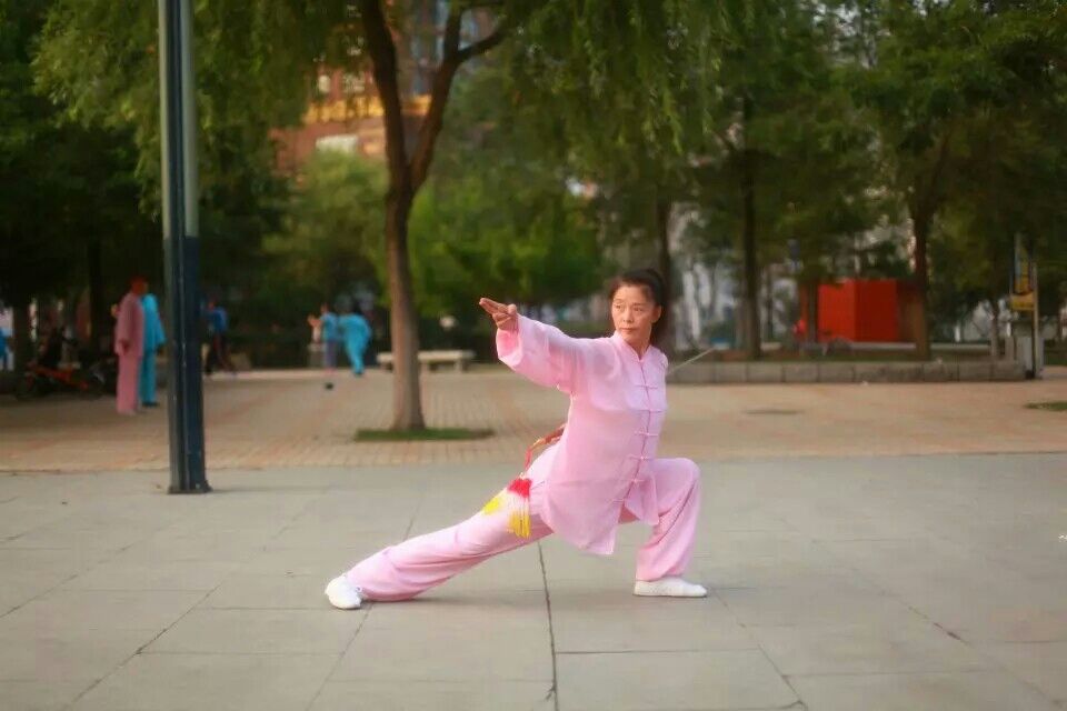 拳照图7