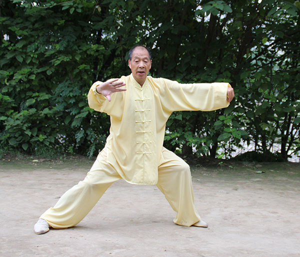拳照