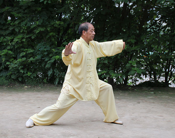拳照