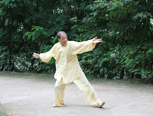 拳照