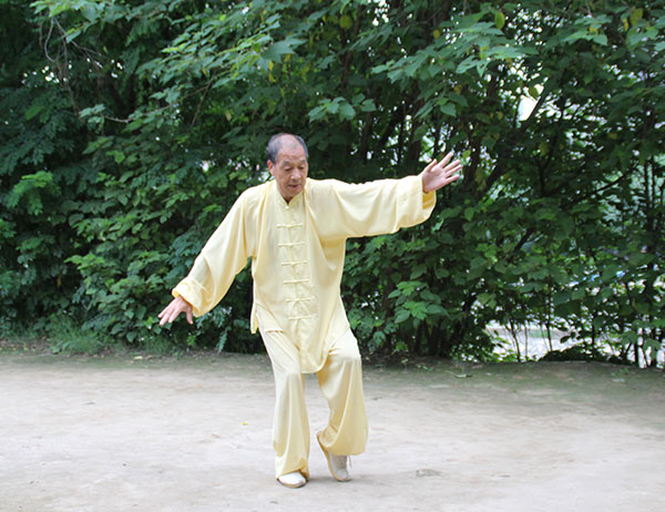 拳照