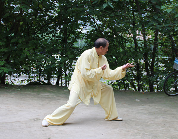 拳照