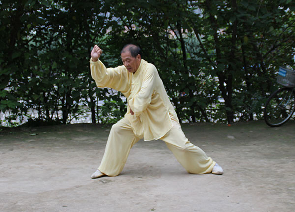 拳照