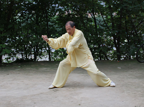 拳照
