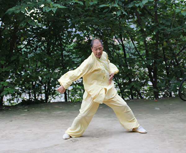 拳照