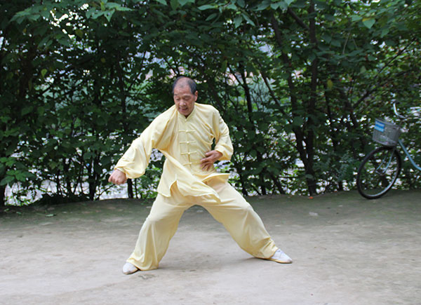 拳照