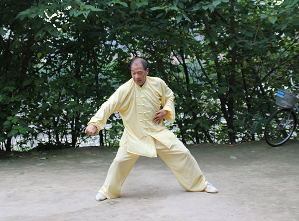 拳照