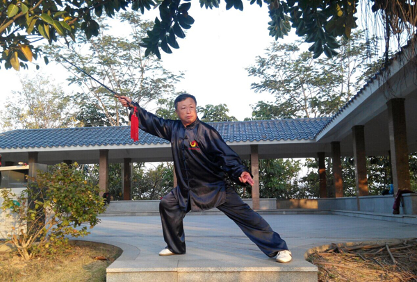 拳照