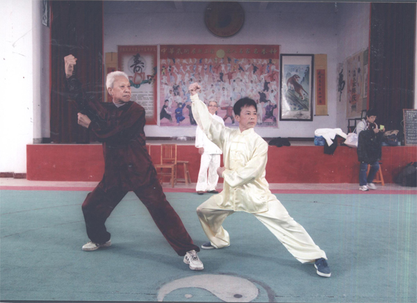 拳照