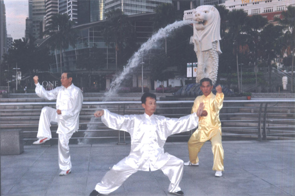 拳照