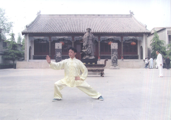 拳照