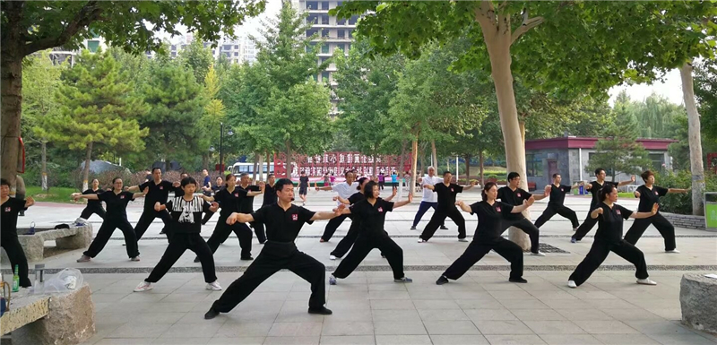 拳照