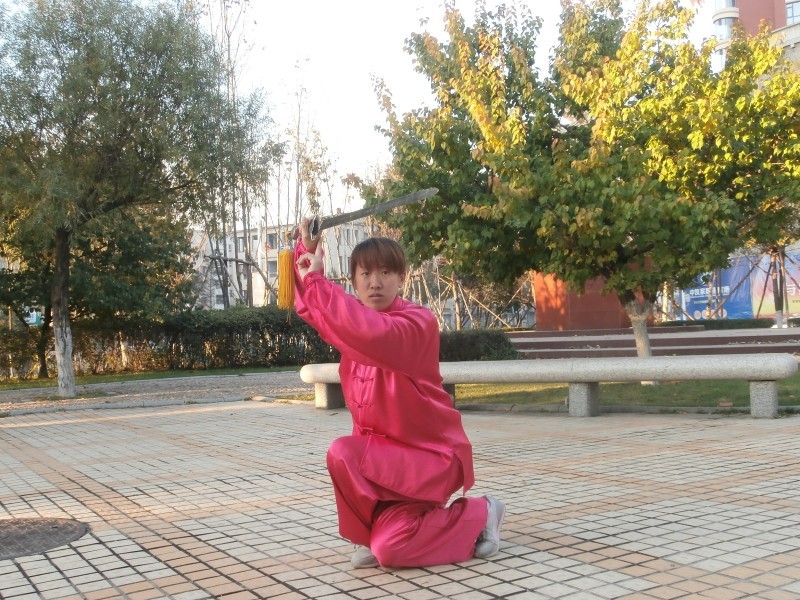 拳照