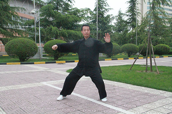 拳照