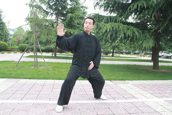 拳照