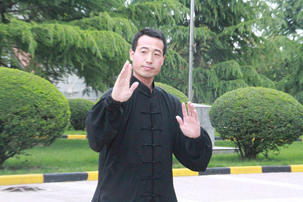 拳照