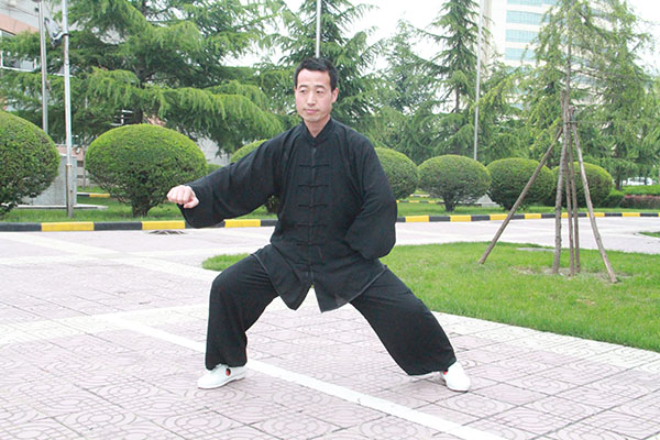 拳照