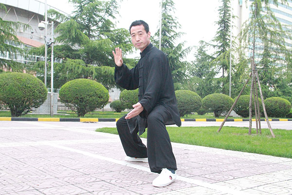 拳照