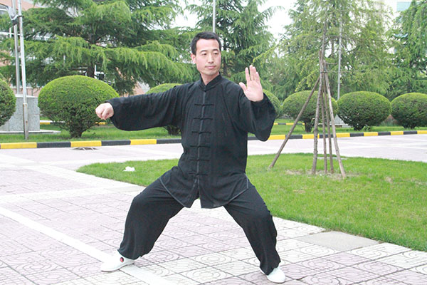 拳照