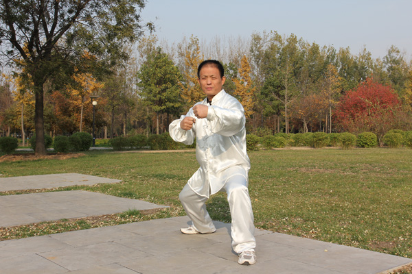 拳照