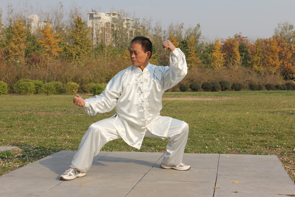 拳照
