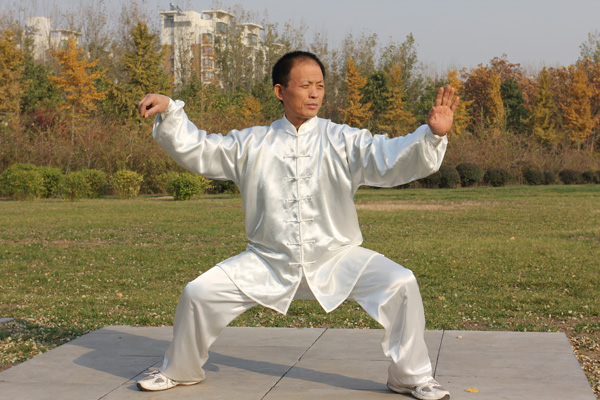 拳照