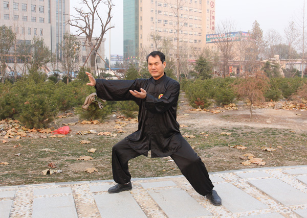 拳照