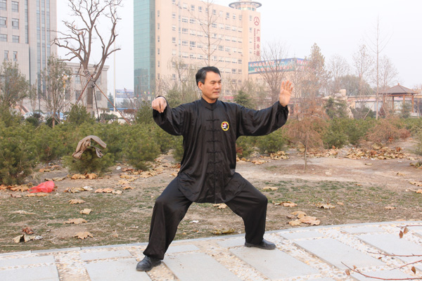 拳照