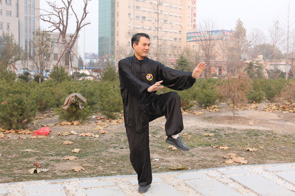 拳照