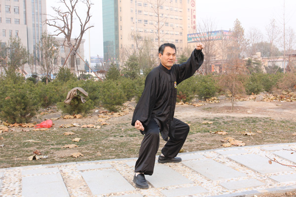 拳照