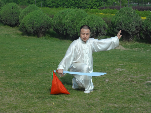 拳照
