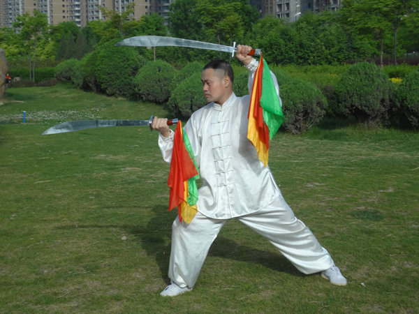 拳照