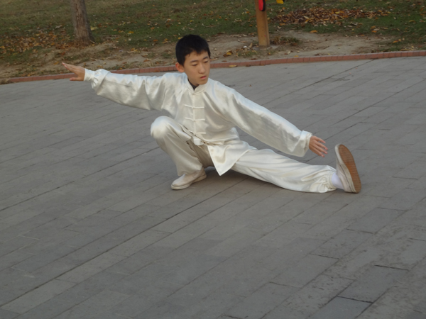 拳照