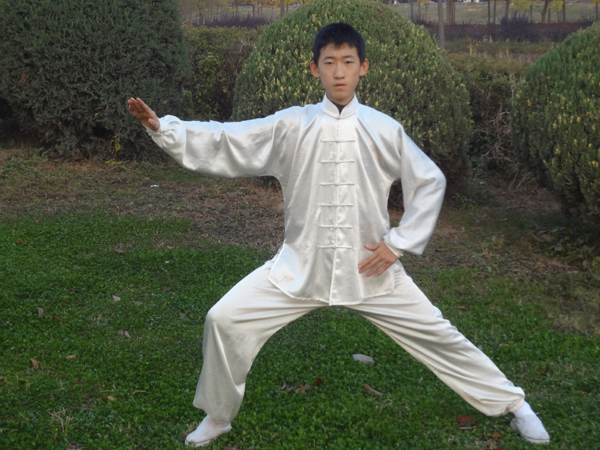 拳照