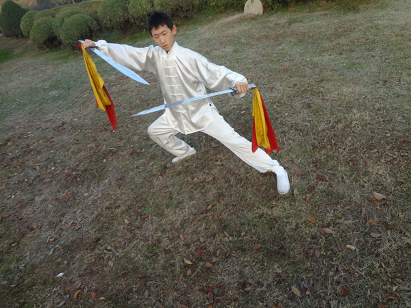拳照