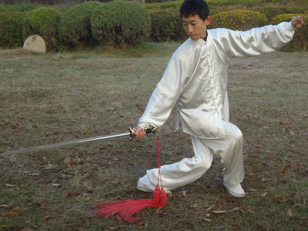 拳照
