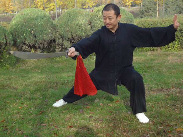 拳照
